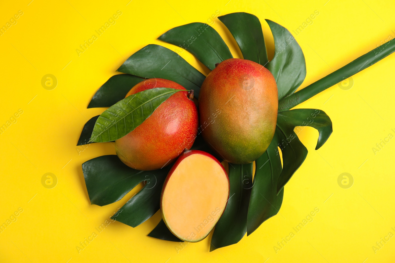 Photo of Flat lay composition with ripe mangoes and monstera leaf on color background