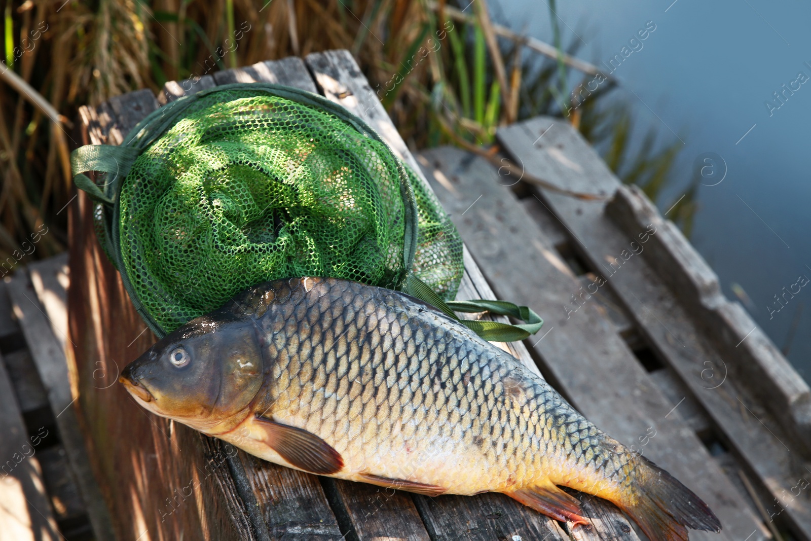 Photo of Fresh catch and fishing net on wooden pier at river