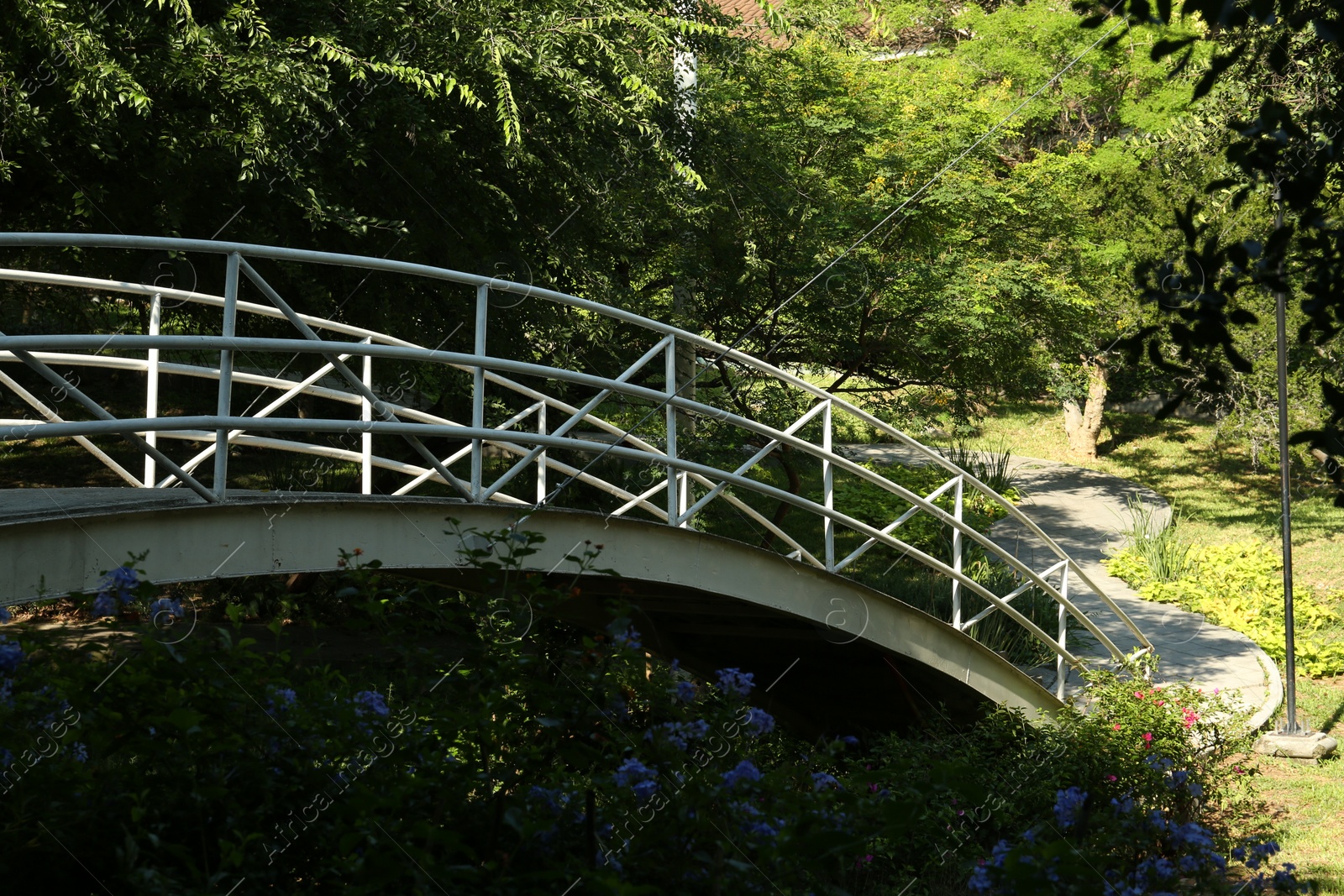 Photo of Beautiful bridge in park on sunny day