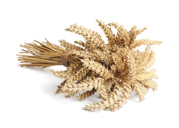 Photo of Bunch of wheat on white background, closeup
