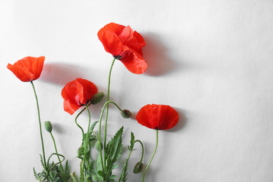 Photo of Beautiful red poppy flowers on white background, flat lay