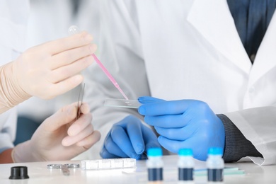 Scientists working in laboratory, closeup view. Research and analysis