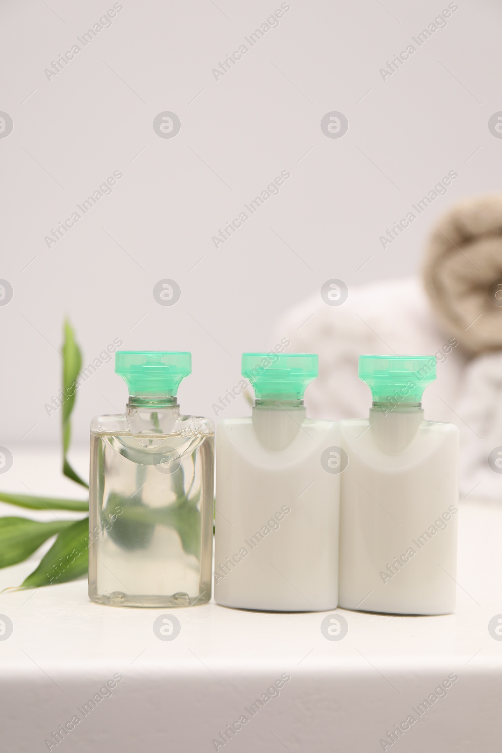 Photo of Mini bottles of cosmetic products and green branch on white table