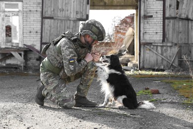 Photo of Ukrainian soldier with stray dog outdoors on sunny day