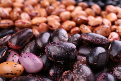 Different kinds of beans as background, closeup