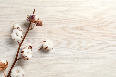 Photo of Dry cotton branch with fluffy flowers on white wooden table, flat lay. Space for text