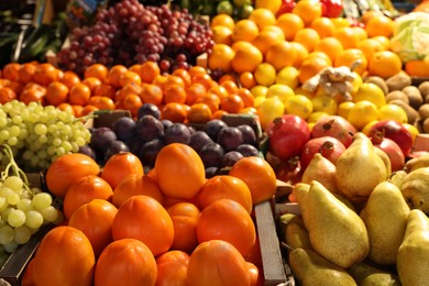 Photo of Many different fresh fruits on counter at wholesale market
