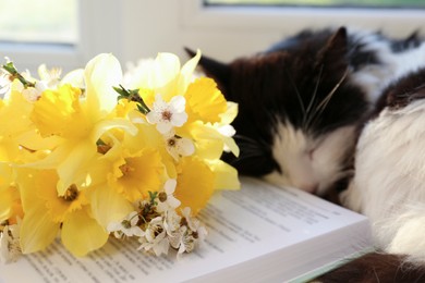 Photo of Beautiful bouquet of yellow daffodils, book and fluffy cat, closeup