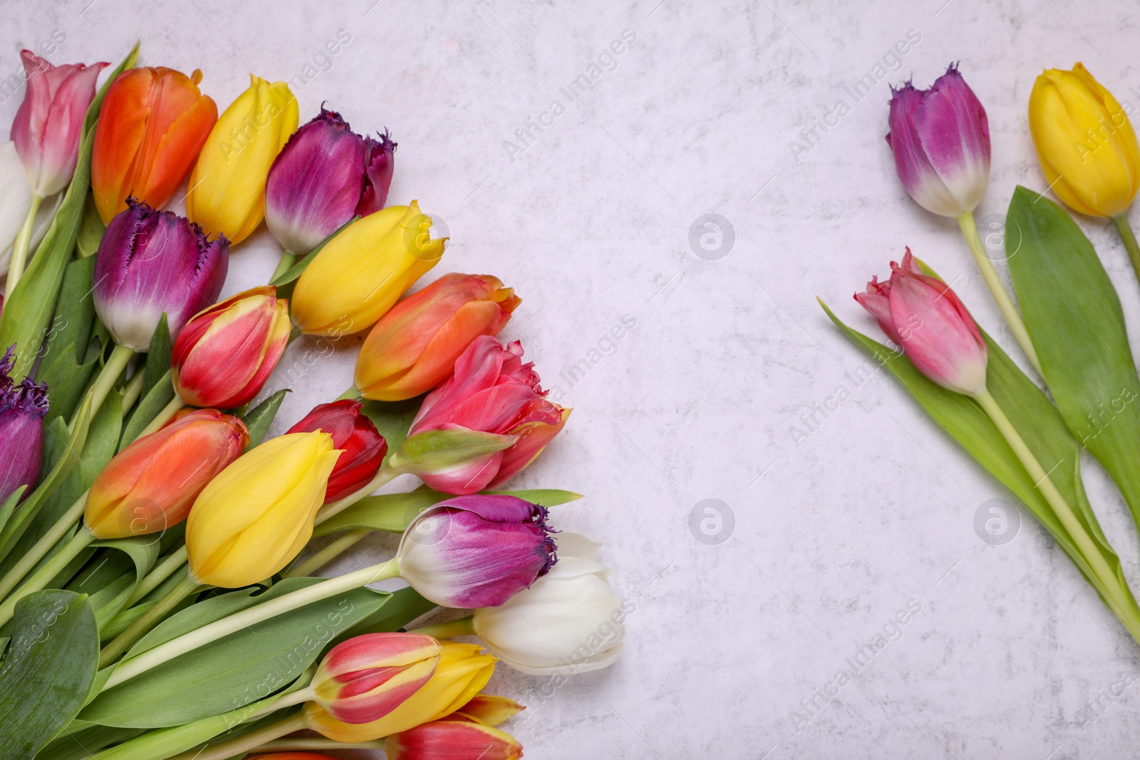 Photo of Beautiful colorful tulip flowers on white stone background, flat lay. Space for text