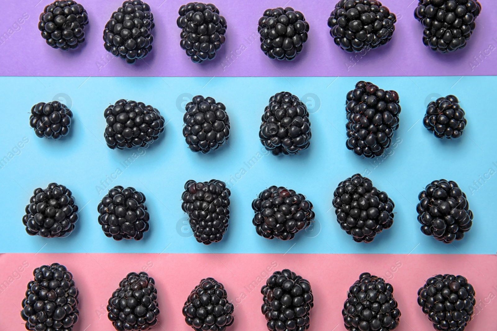 Photo of Flat lay composition with ripe blackberries on color background