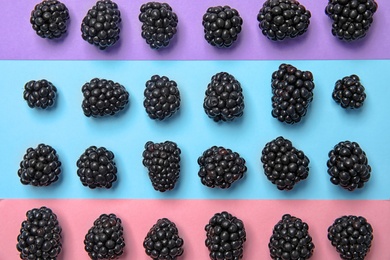 Flat lay composition with ripe blackberries on color background