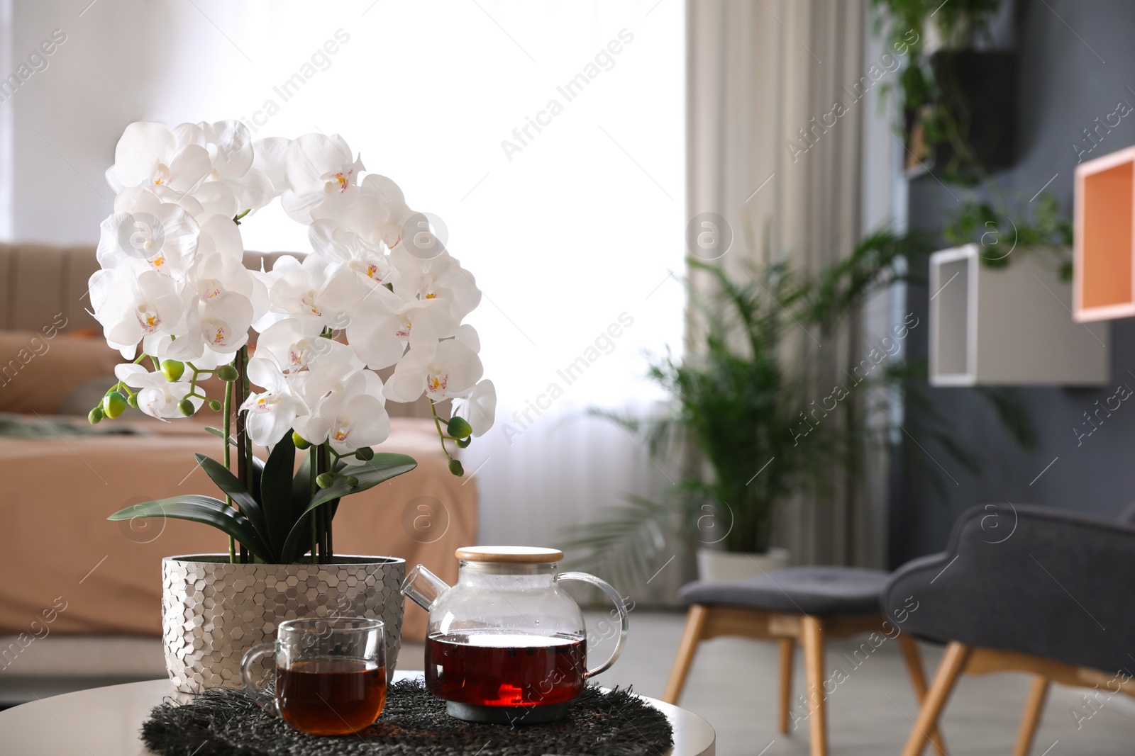 Photo of Beautiful white orchids and tea set on table in bedroom, space for text. Interior design