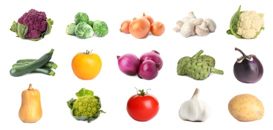 Image of Collection of different fresh vegetables on white background. Banner design