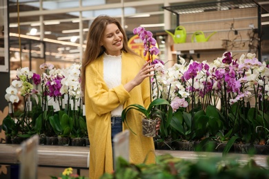 Photo of Beautiful young woman with orchids in flower shop