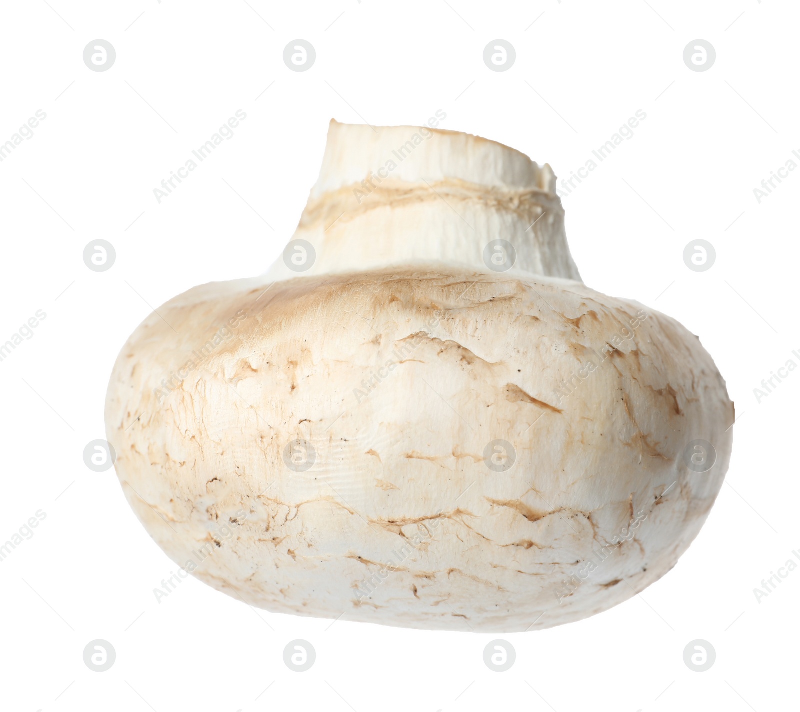 Photo of Fresh champignon mushroom isolated on white. Healthy food