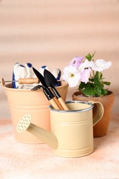 Watering can, gardening tools and beautiful plant on beige background