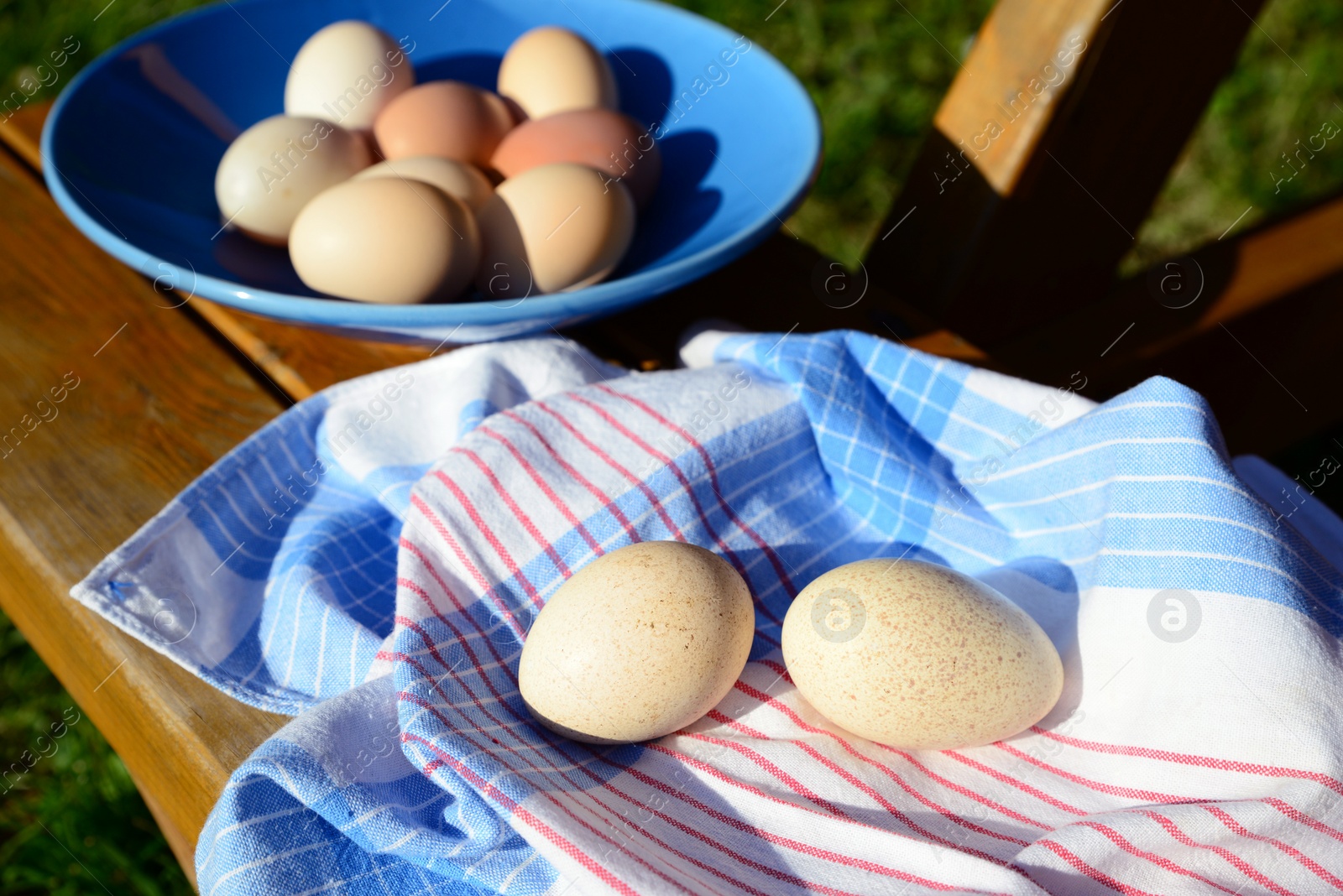 Photo of Raw turkey eggs with plate and napkin on wooden bench outdoors