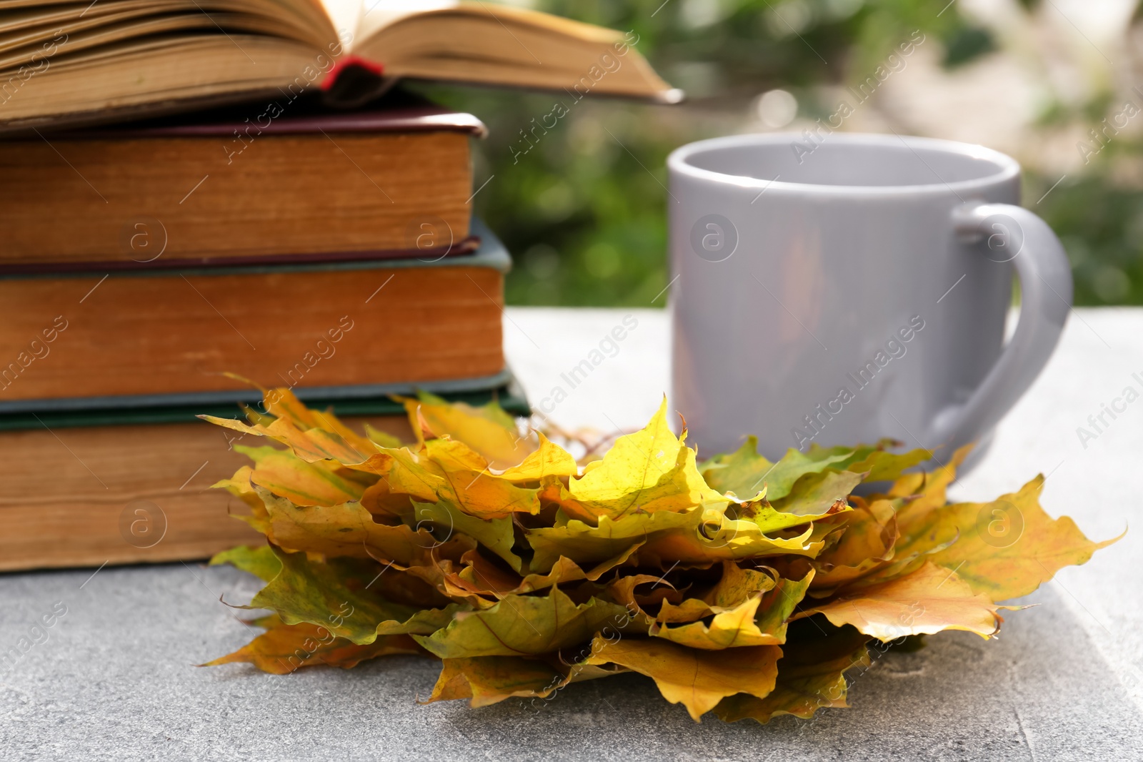 Photo of Yellow maple leaves, books and cup of tea on light gray table, closeup. Autumn atmosphere