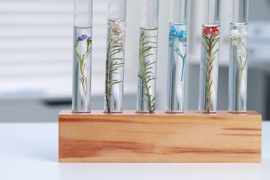 Photo of Test tubes with different plants on white table in laboratory, closeup