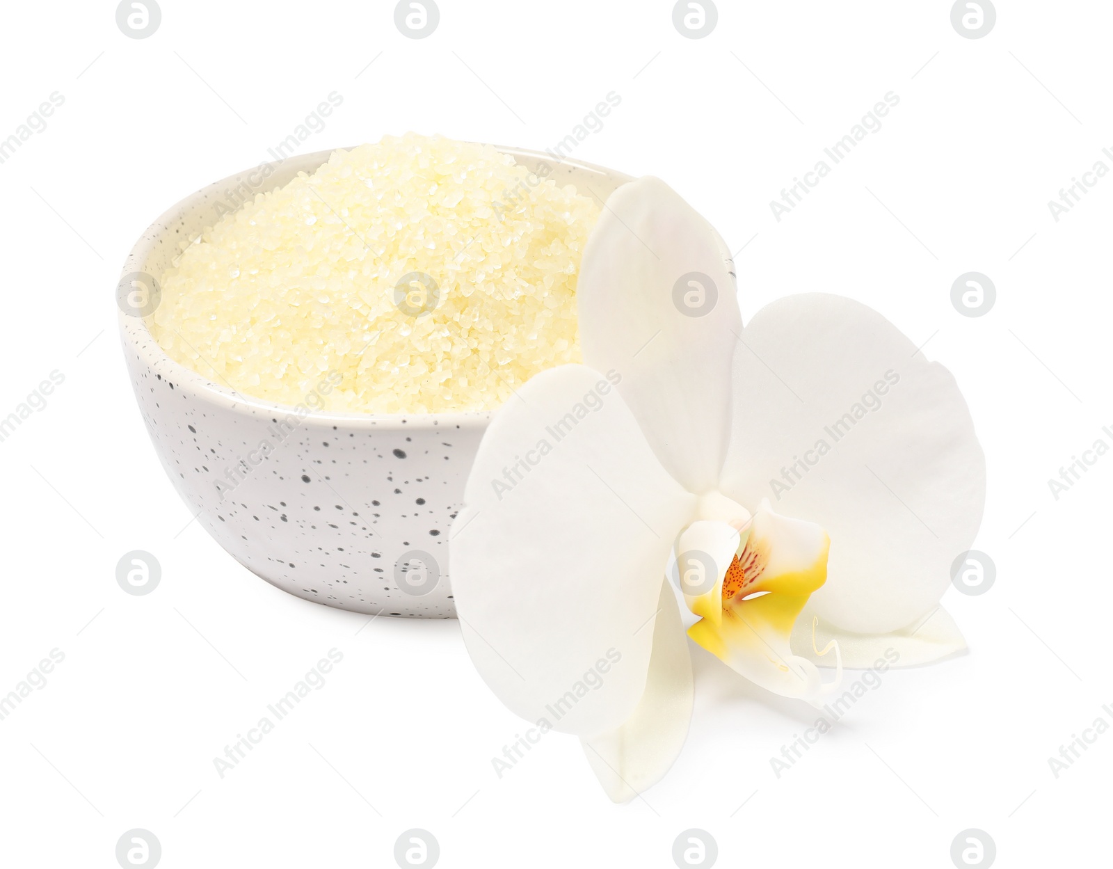 Photo of Sea salt in bowl and flower isolated on white