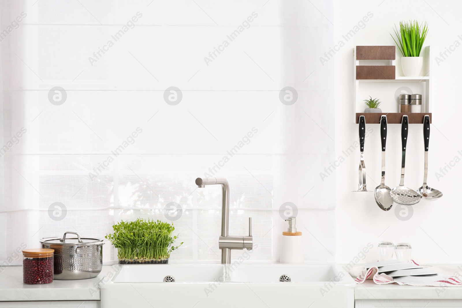 Photo of Stylish white sinks, utensils and microgreens in kitchen