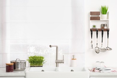 Photo of Stylish white sinks, utensils and microgreens in kitchen
