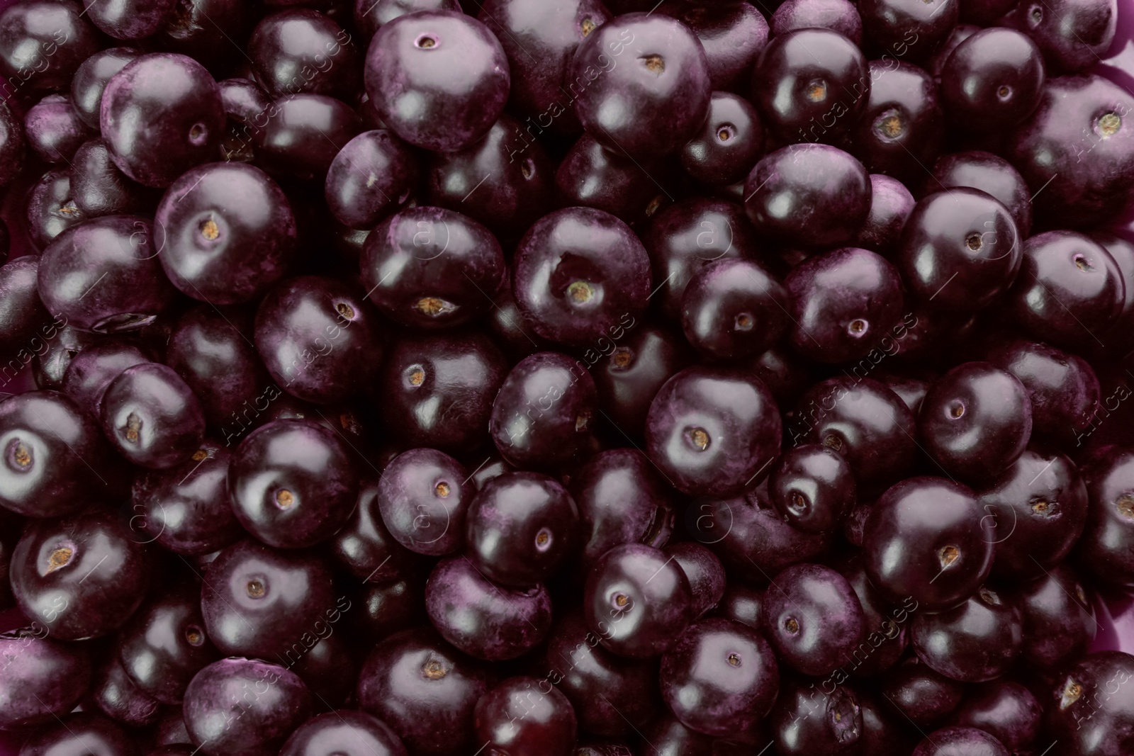 Photo of Fresh ripe acai berries as background, closeup