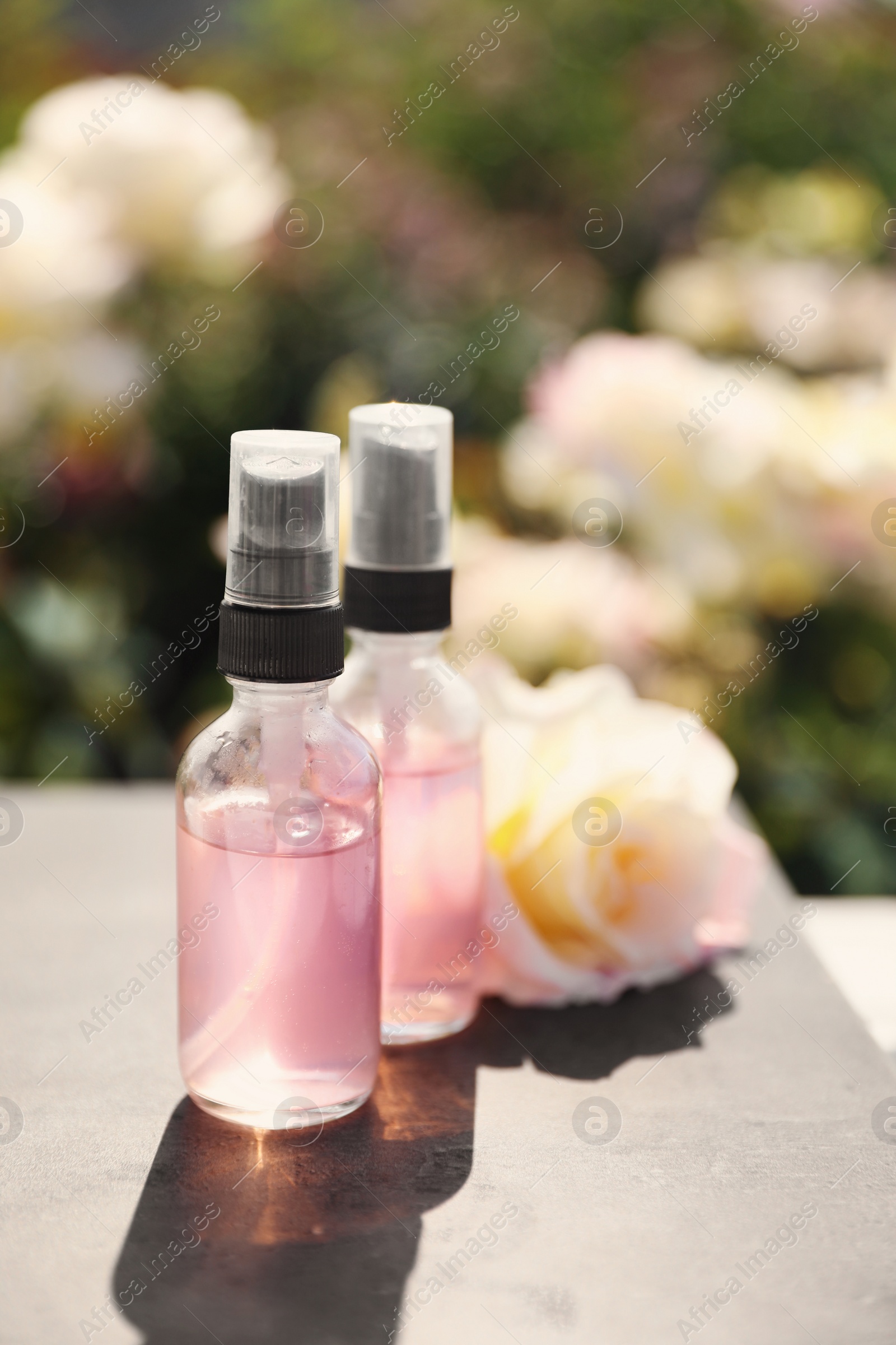 Photo of Bottles of facial toner with essential oil and fresh rose on table against blurred background