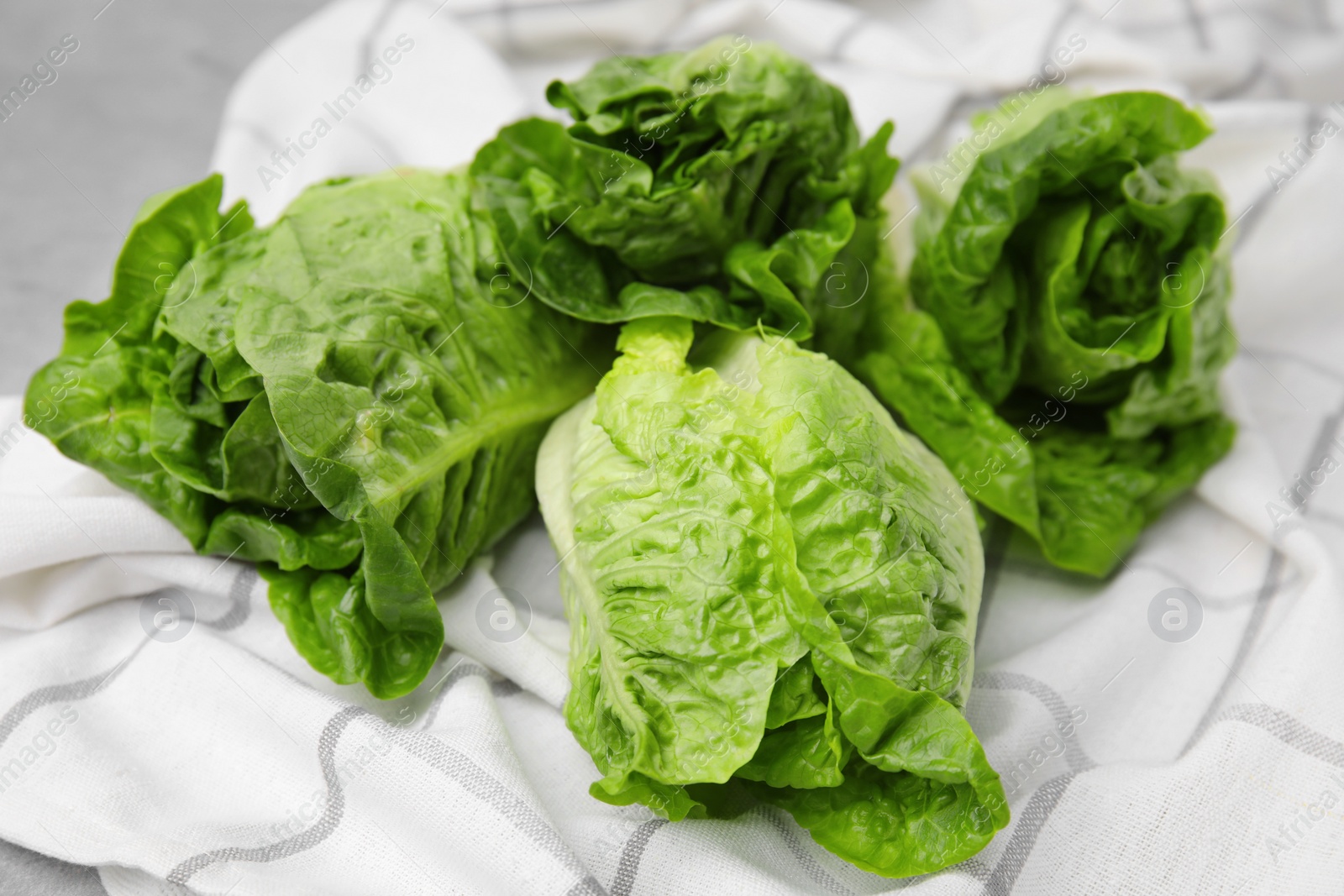 Photo of Fresh green romaine lettuces on grey table, closeup