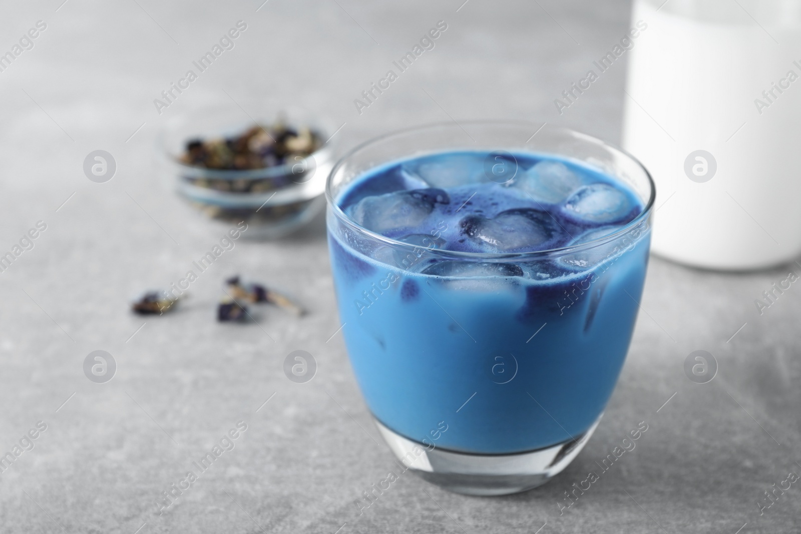 Photo of Delicious blue matcha tea with milk and ice cubes on grey table, space for text