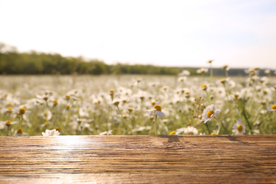 Photo of Empty wooden table in blooming chamomile field