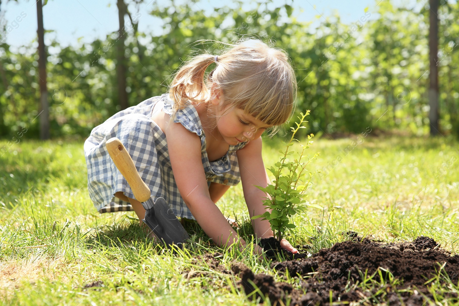 Photo of Cute little girl planting tree in garden