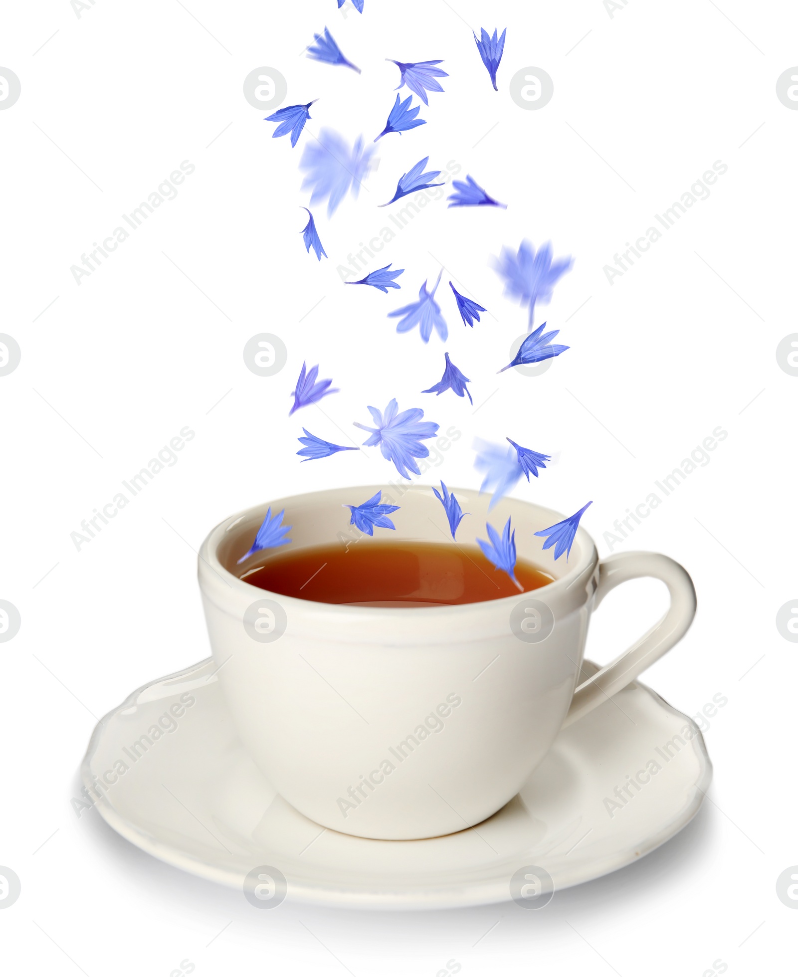 Image of Beautiful tender blue cornflower petals falling into cup of tea on white background