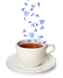 Image of Beautiful tender blue cornflower petals falling into cup of tea on white background