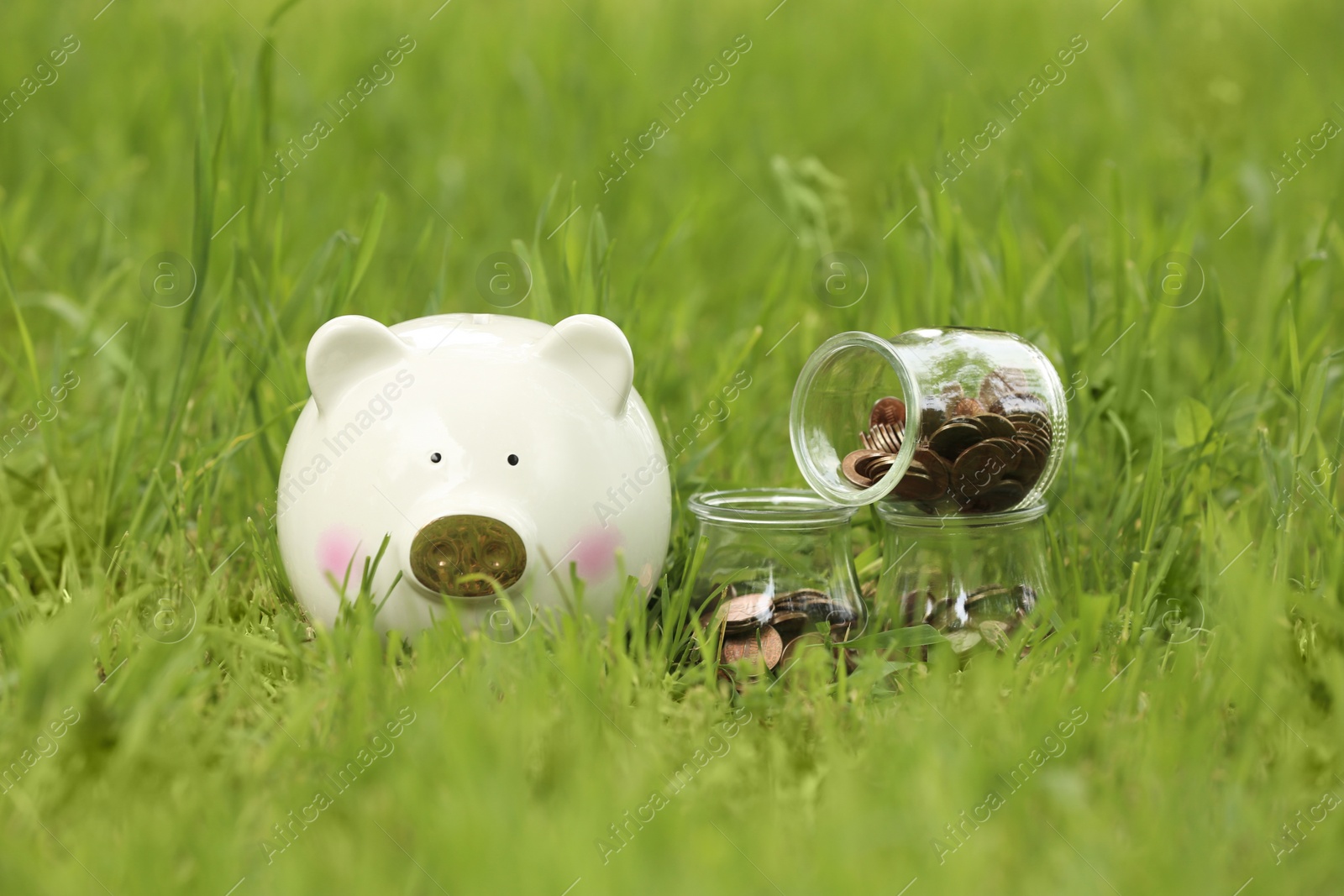 Photo of Cute piggy bank and jars with coins on green grass in park