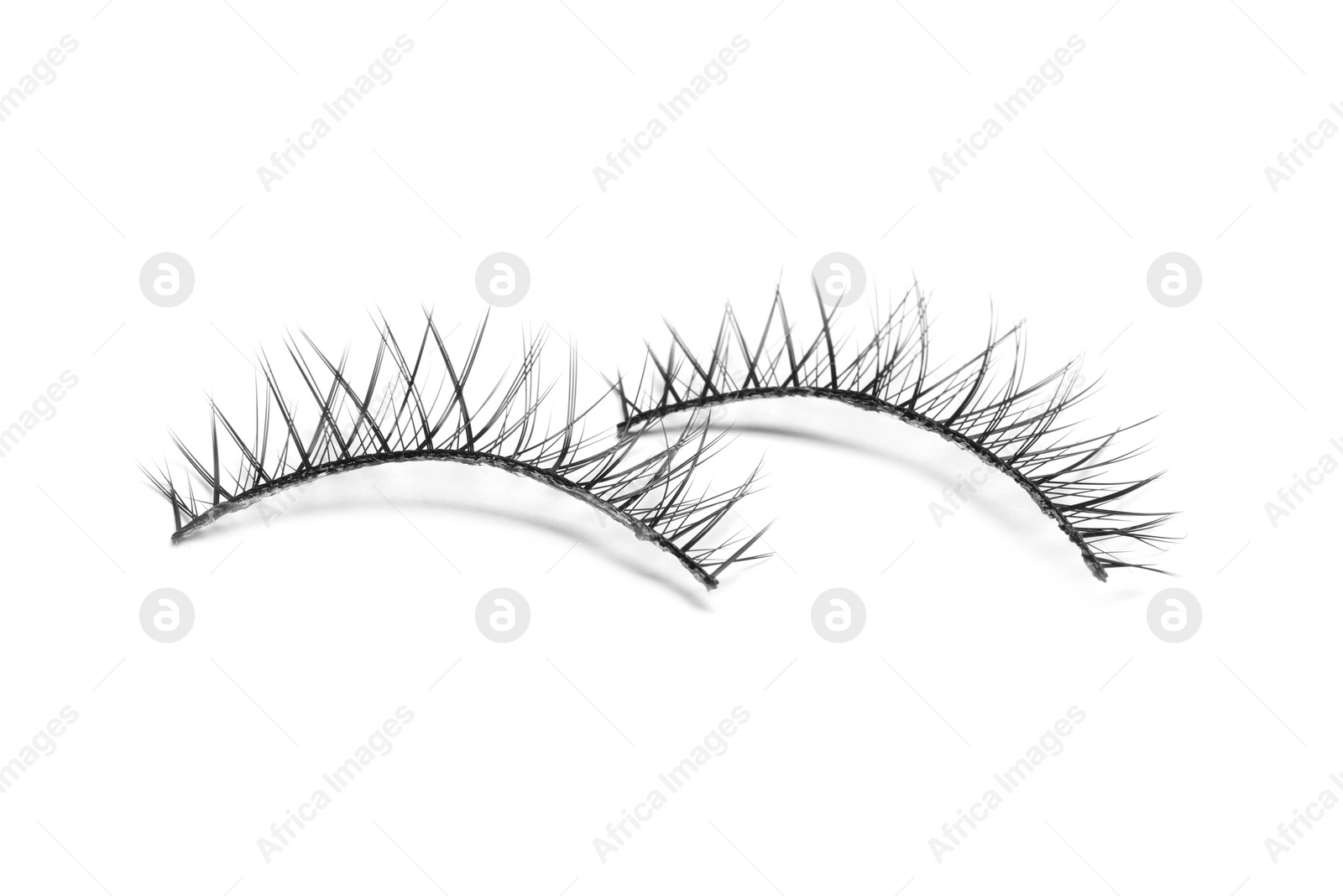 Photo of Beautiful pair of false eyelashes on white background