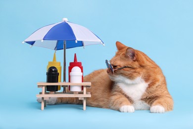 Photo of Cute ginger cat in stylish sunglasses and mini picnic table with umbrella on light blue background
