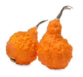 Photo of Two fresh orange pumpkins isolated on white