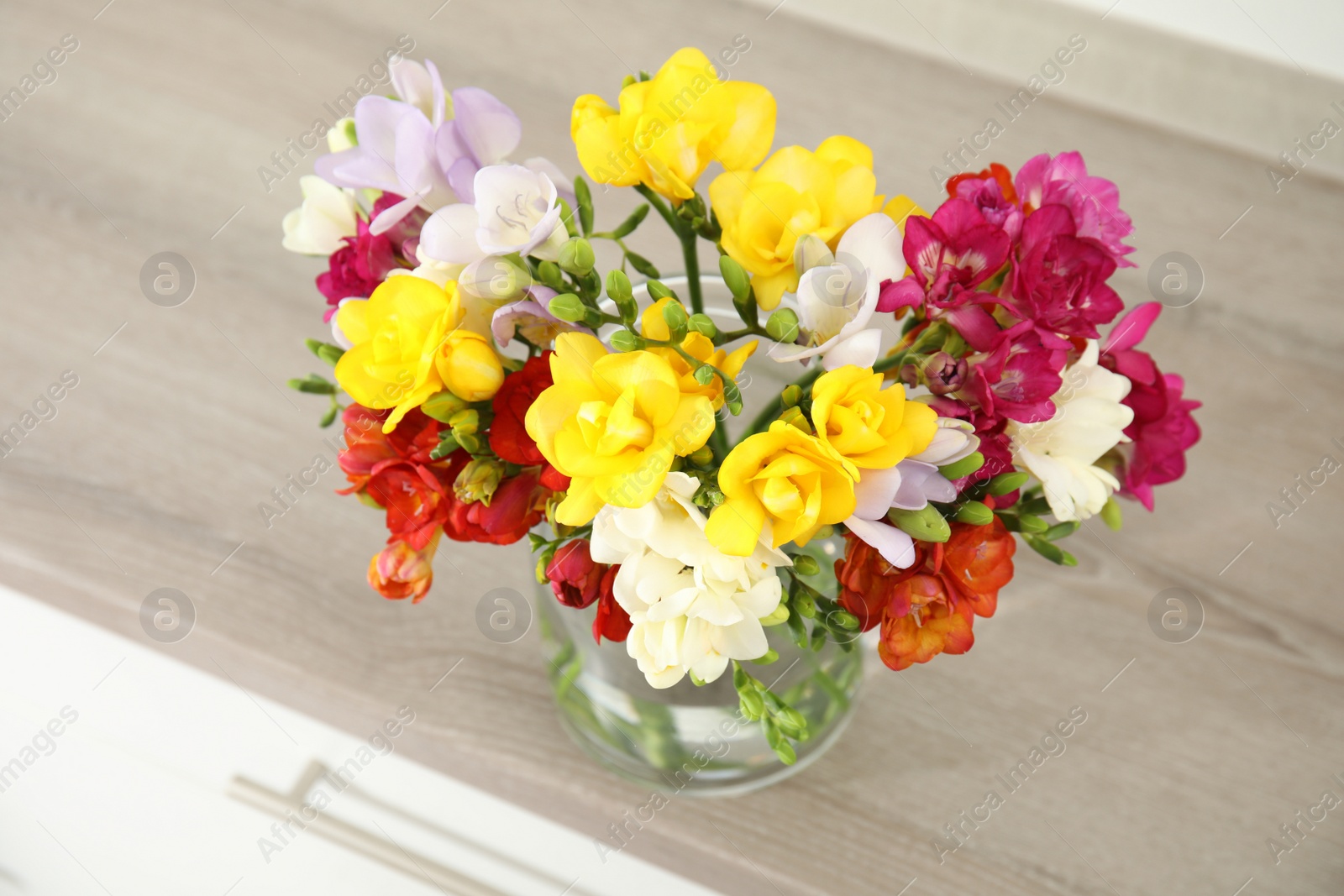 Photo of Beautiful bright freesia flowers in vase on chest of drawers