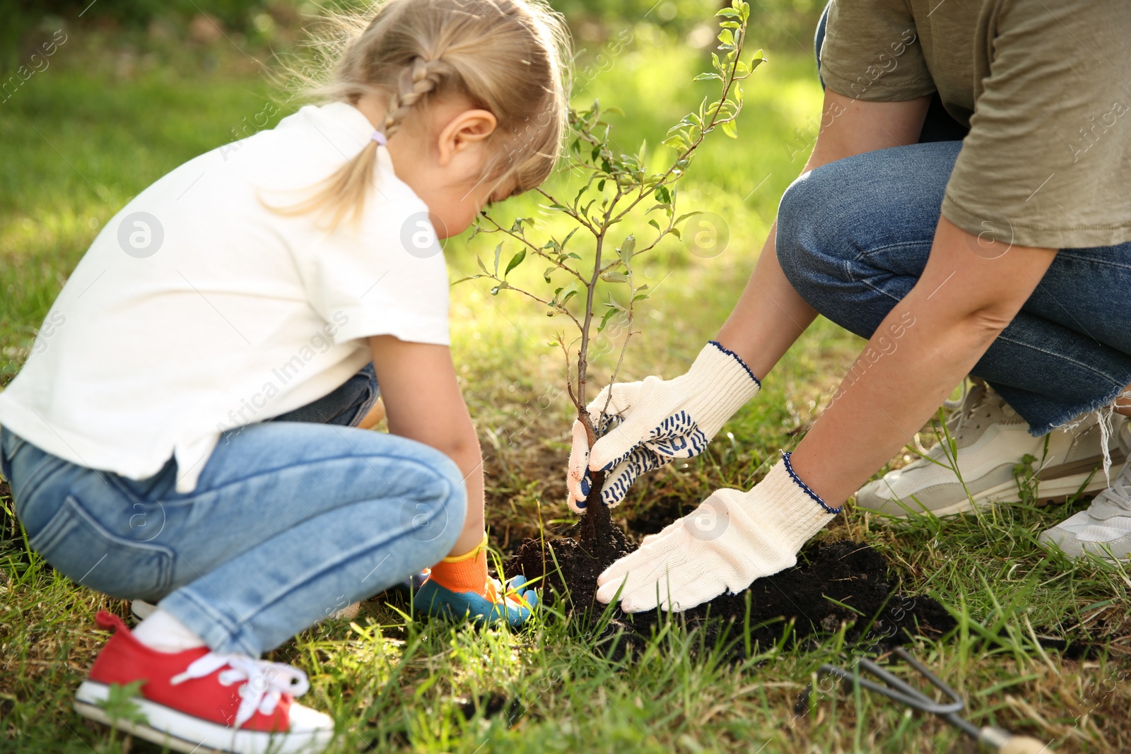 Photo of Mother and her daughter planting tree together in garden