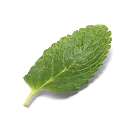 Leaf of fresh mint isolated on white