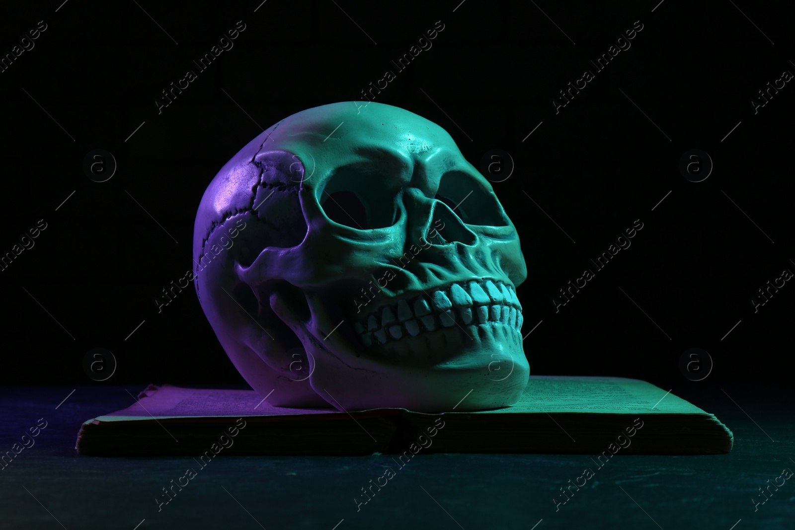 Photo of Human skull on book in colorful neon lights against black background