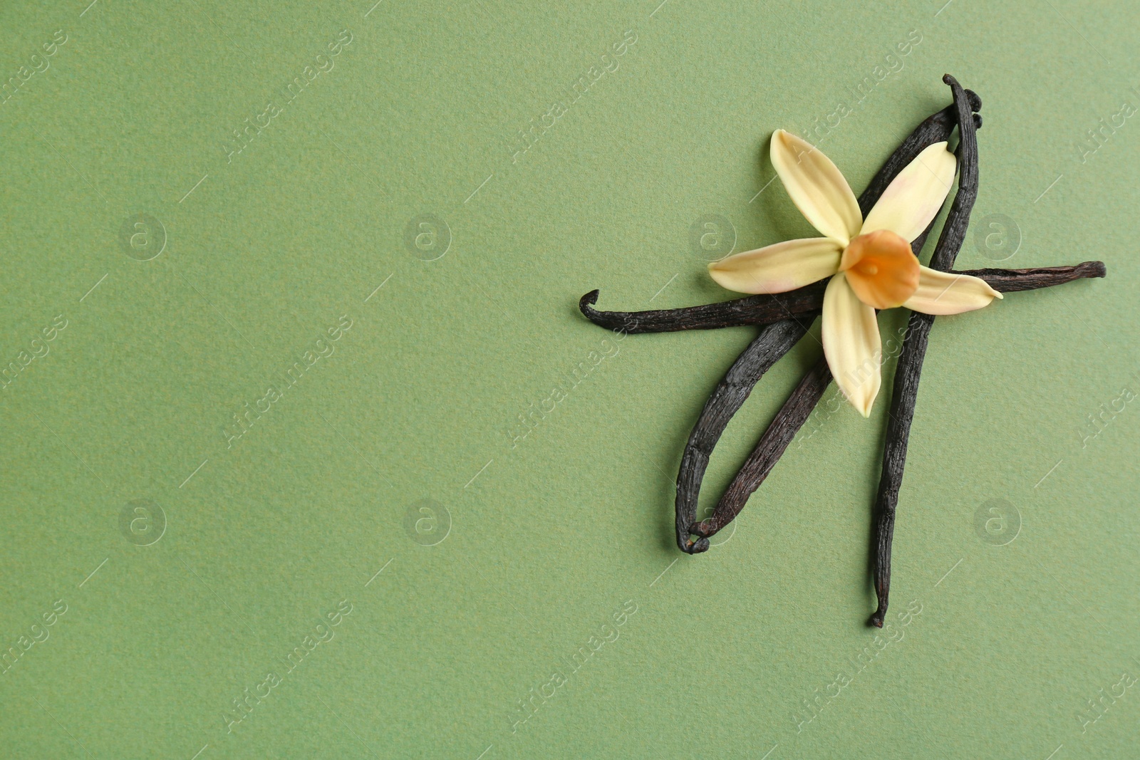 Photo of Flat lay composition with vanilla sticks and flower on green background. Space for text