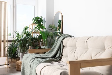 Stylish living room interior with comfortable sofa and beautiful houseplants