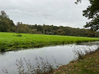 Photo of Beautiful trees, green grass and water channel in park
