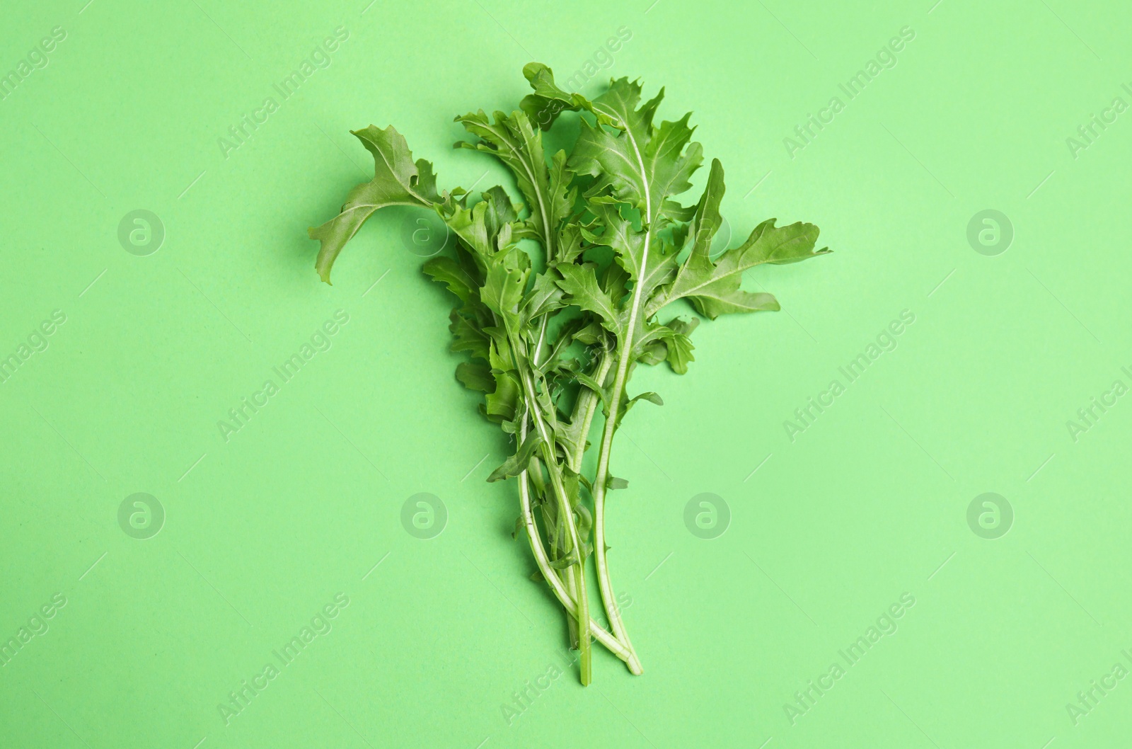 Photo of Fresh arugula on green background, flat lay