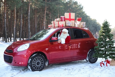 Authentic Santa Claus in red car with gift boxes near Christmas tree, outdoors