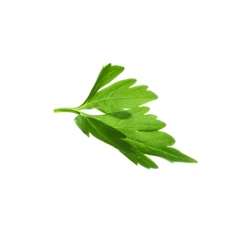 Photo of Fresh green organic parsley on white background