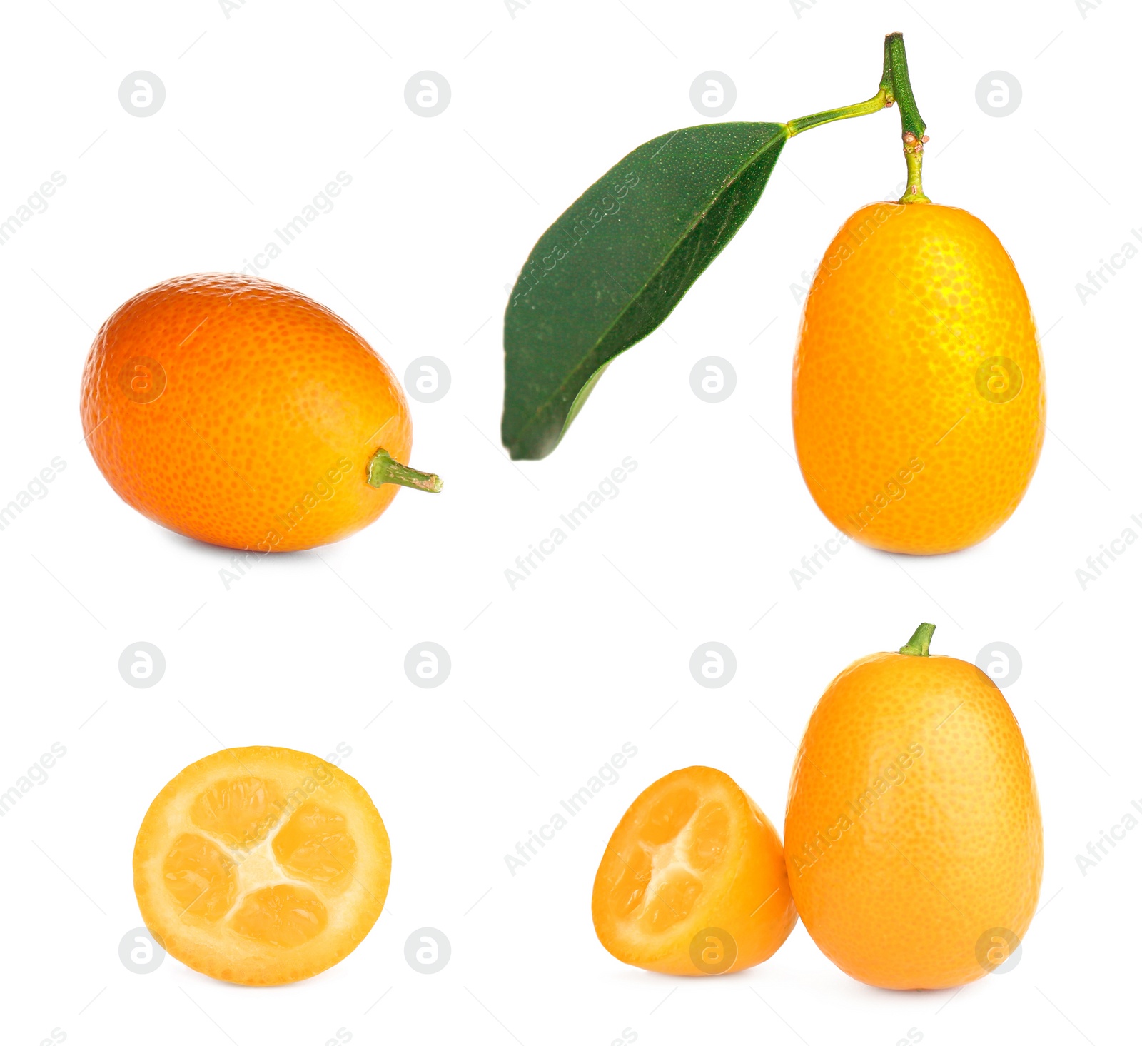 Image of Set with fresh ripe kumquat fruits on white background 