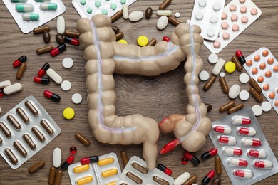 Anatomical model of large intestine and many different pills on wooden background, flat lay